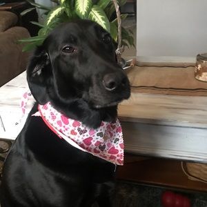 Meet your Posher, Cheryl